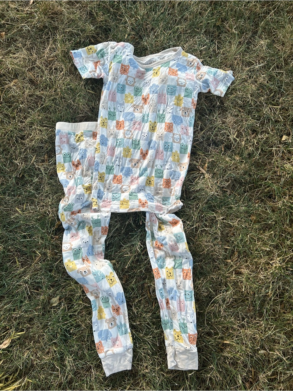 Little Sleepies Multicolor Animal Patch Pajama Set